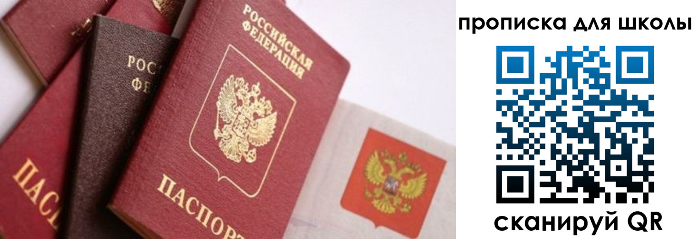 прописка поиск в Красногорске